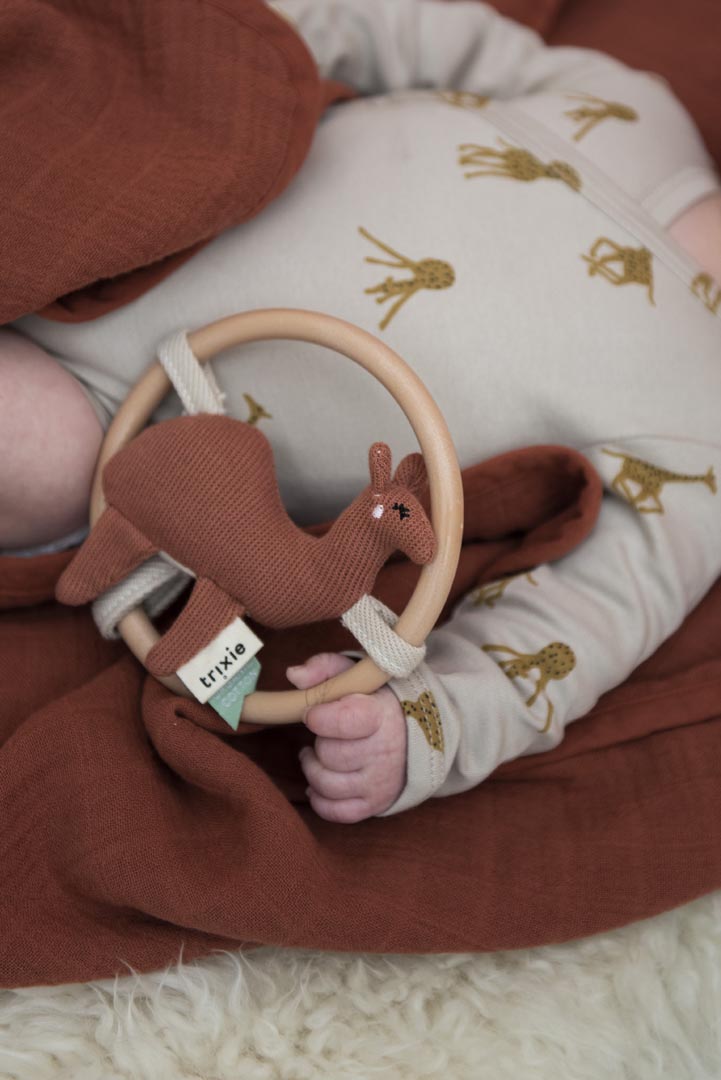 Handheld Rattle Toy