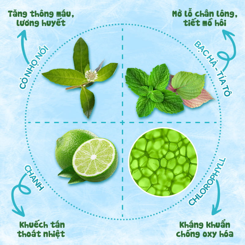 Khăn lau hạ sốt Dr Papie 0+ (25 cái)