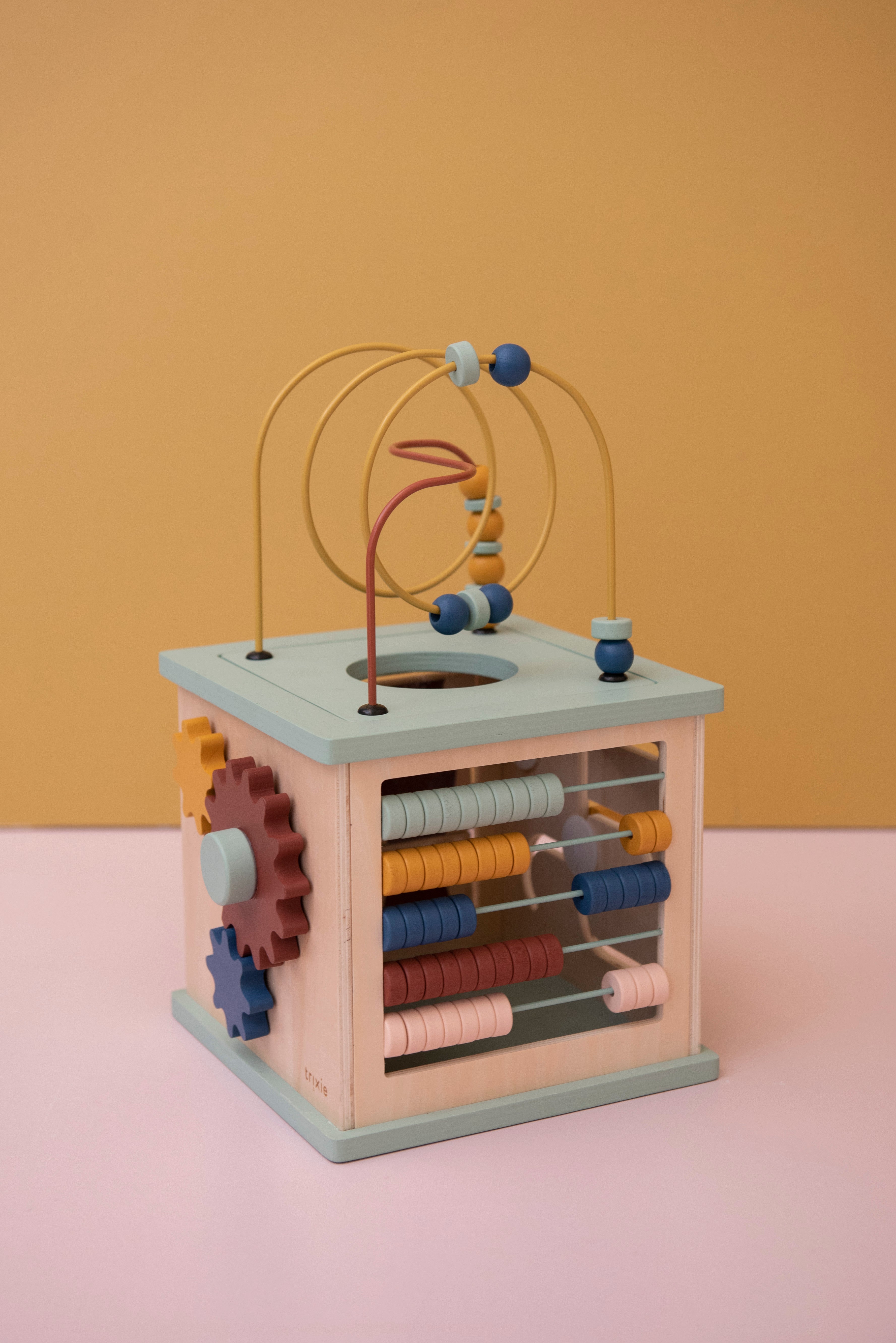 Hộp đồ chơi trí tuệ 5 trong 1 Trixie, khối bận rộn montessori