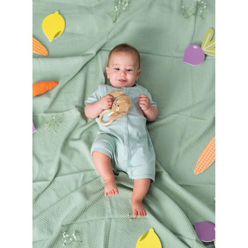 Lục Lạc Cầm Tay Taf Toys Jenny Bunny Mềm Mại Kích Thích Giác Quan Cho Bé