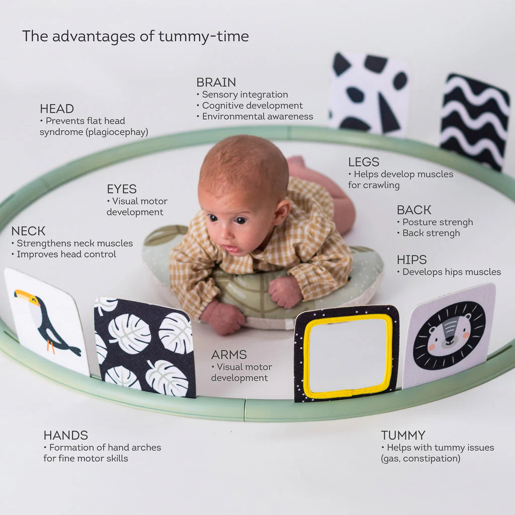 Taf Toys Belly Time Trainer 