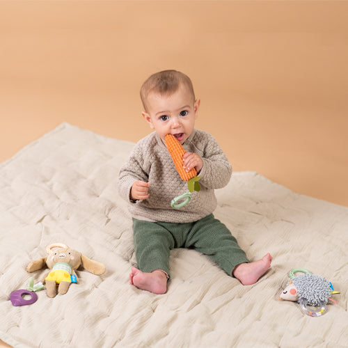 Taf Toys Activity Toy Set 