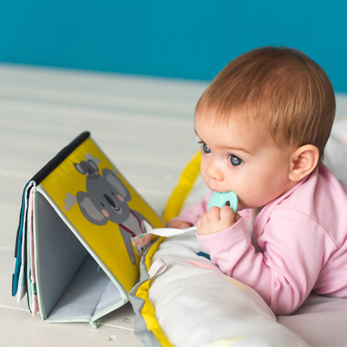 Taf Toys Tummy Book Time 