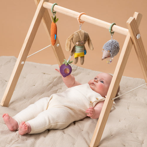 Taf Toys Activity Toy Set 