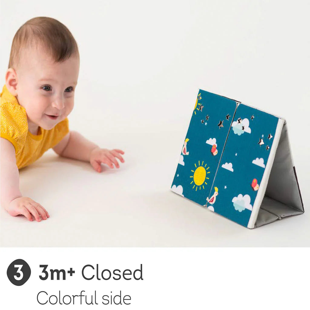Taf Toys Tummy-time Mirror Books 