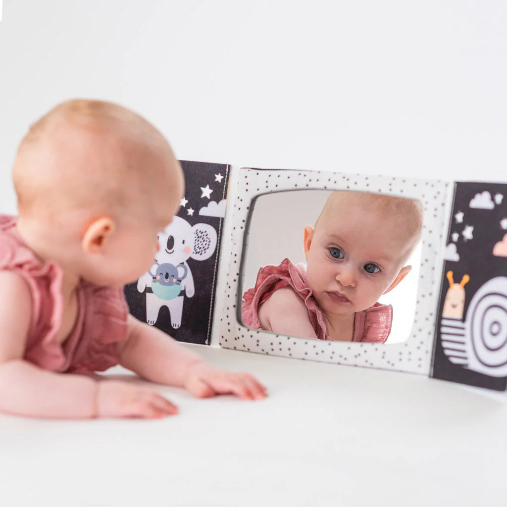 Taf Toys Tummy-time Mirror Books 