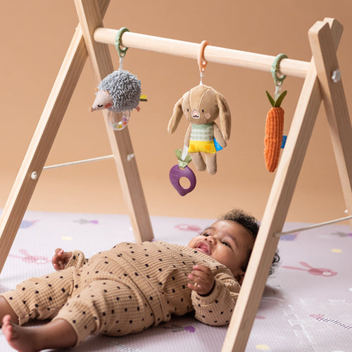 Taf Toys Activity Toy Set 