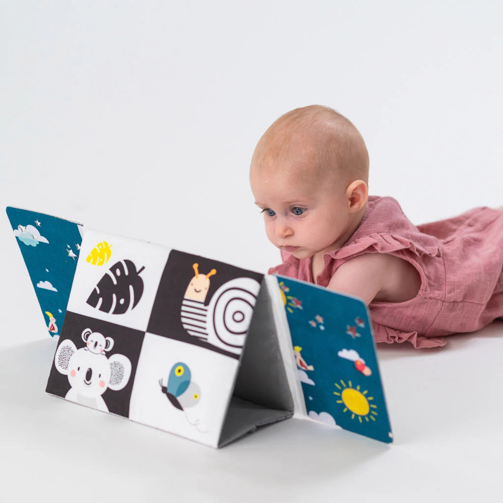 Taf Toys Tummy-time Mirror Books 