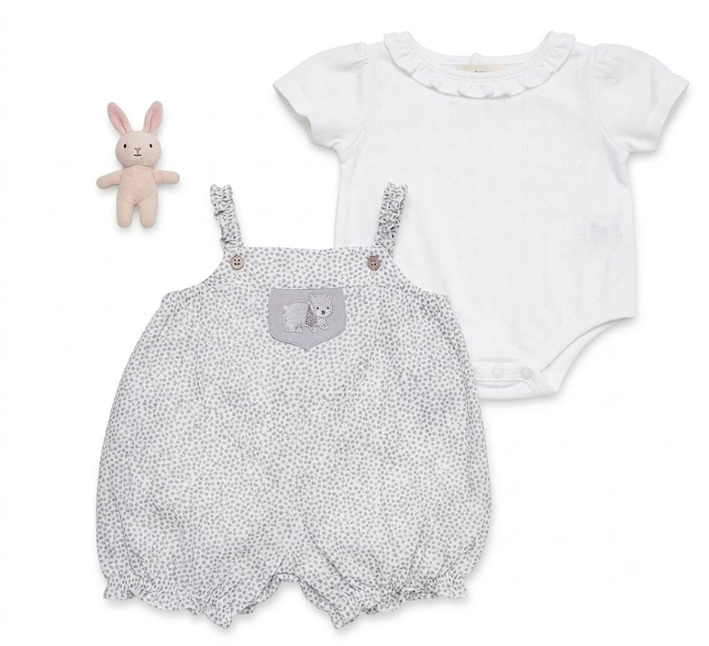 Bộ 2 Áo Liền Thân (Romper) Bé Gái Họa Tiết Hoa Dại Kèm Đồ Chơi (3-24M)| Albetta