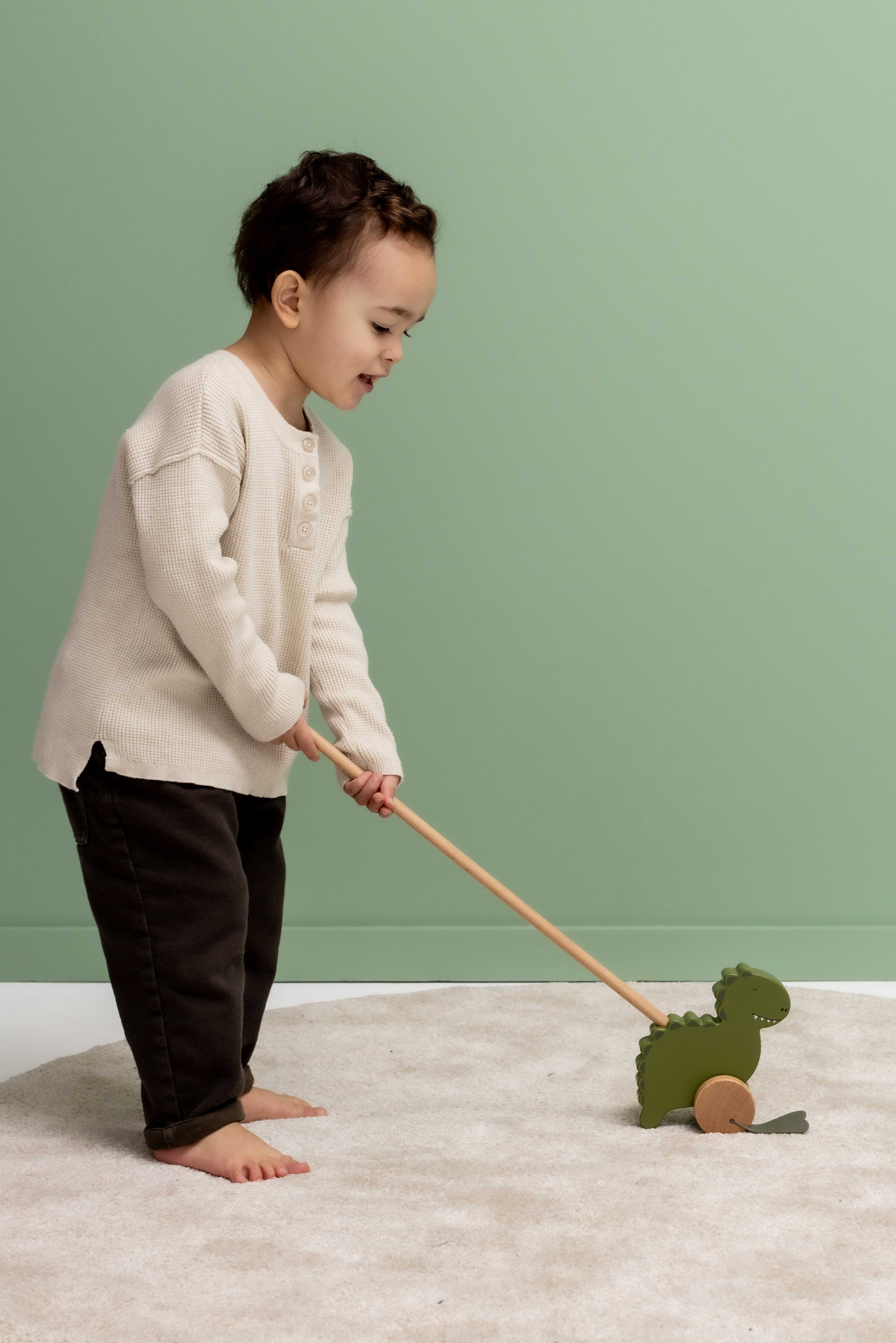 Xe đẩy đồ chơi tập đi Trixie