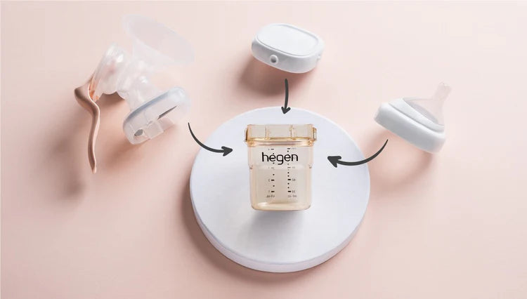 Bình Sữa Hegen PPSU Phiên Bản Auburn (150ml / 240ml / 330ml) | Hegen
