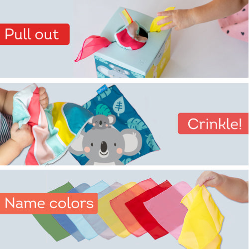 Taf Toys Kimmy Koala Wonder Paper Box 