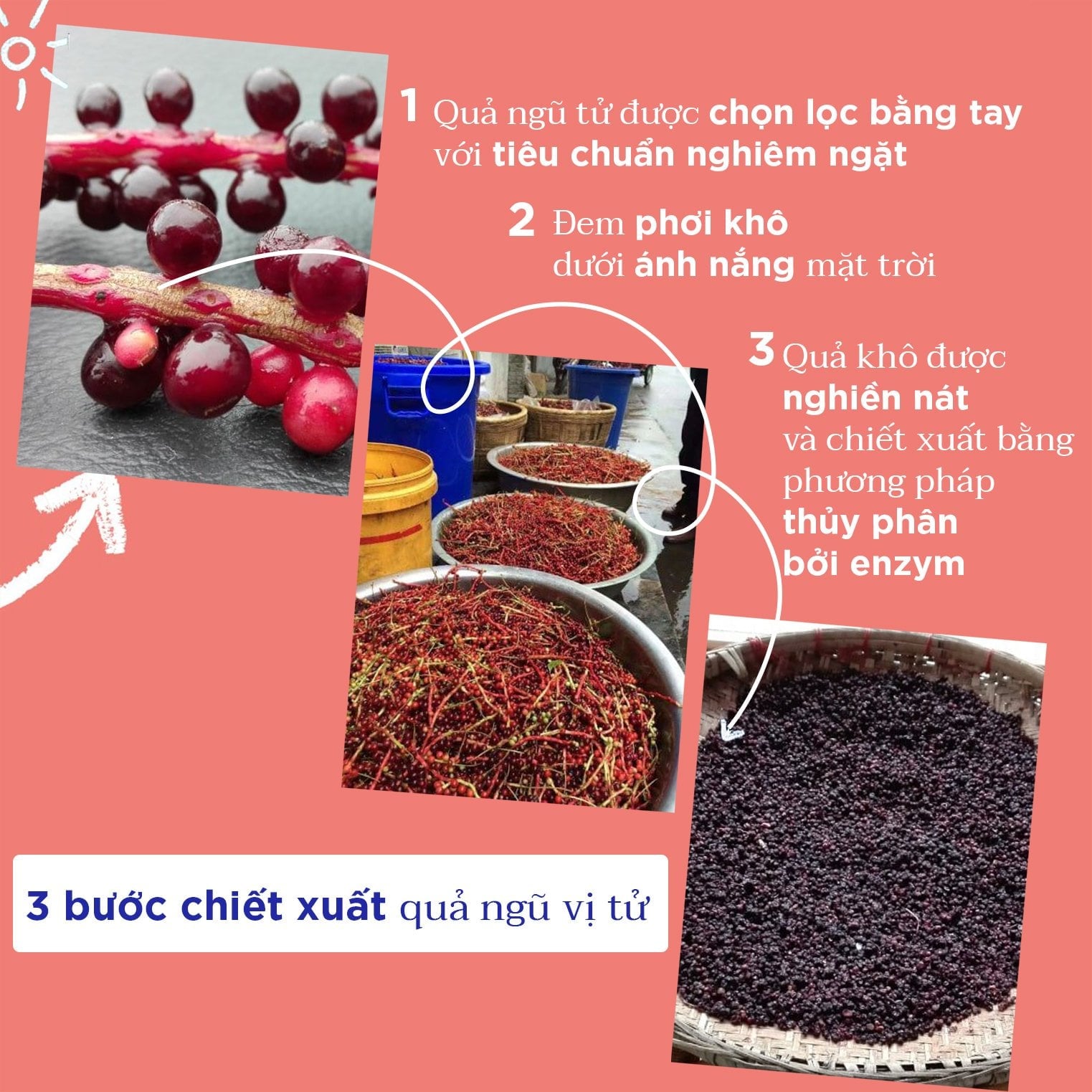 Sữa Dưỡng Ẩm Da Toàn Thân Dịu Nhẹ MUSTELA Cho Da Rất Nhạy Cảm Của Bé - 200ml